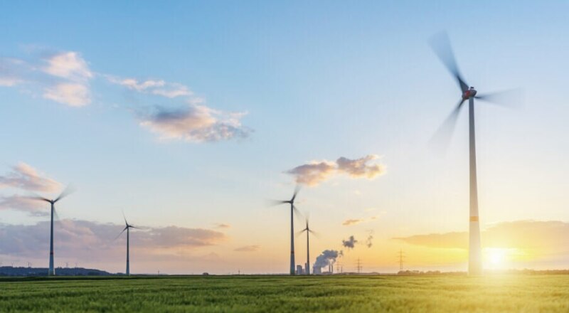 Sustainability AI future