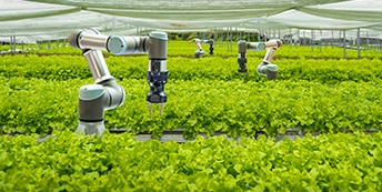 Agricultural Systems