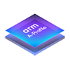 Arm A 系列