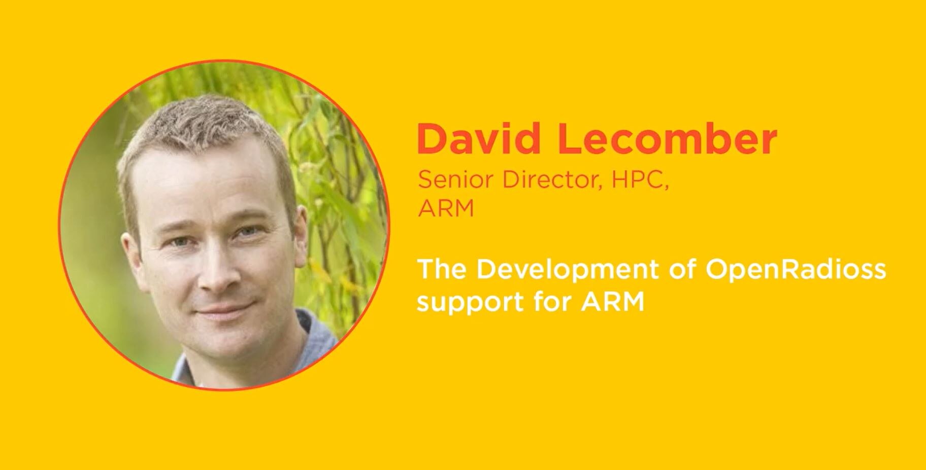 The Development of OpenRadioss support for Arm