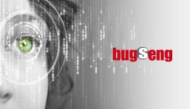 BUGSENG Overview