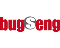 BUGSENG logo