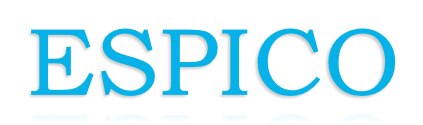 ESPICO Ltd logo