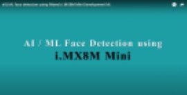eIQ ML face detection using iWave’s i.MX8M Mini Dev Kit 
