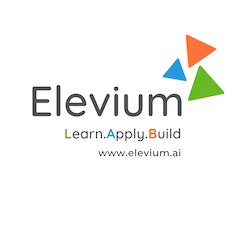 Nanochip Skills logo