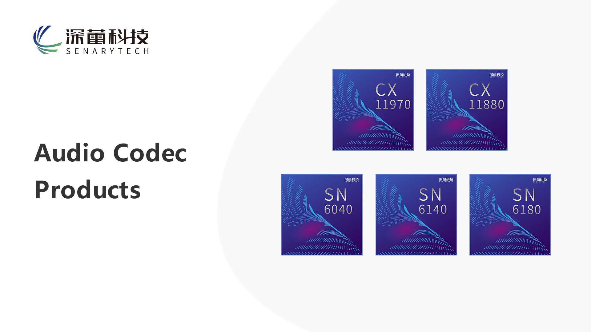 Audio Codec Products