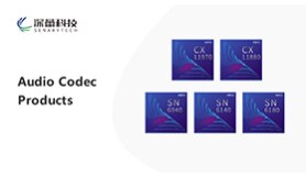 Audio Codec Products