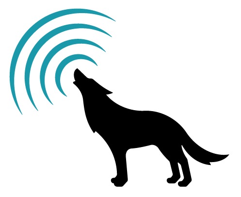 Migrating from OpenSSL to wolfSSL