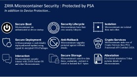 Microcontainer Security
