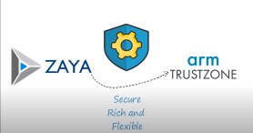 Microcontainerisation For TrustZone for Armv8-m